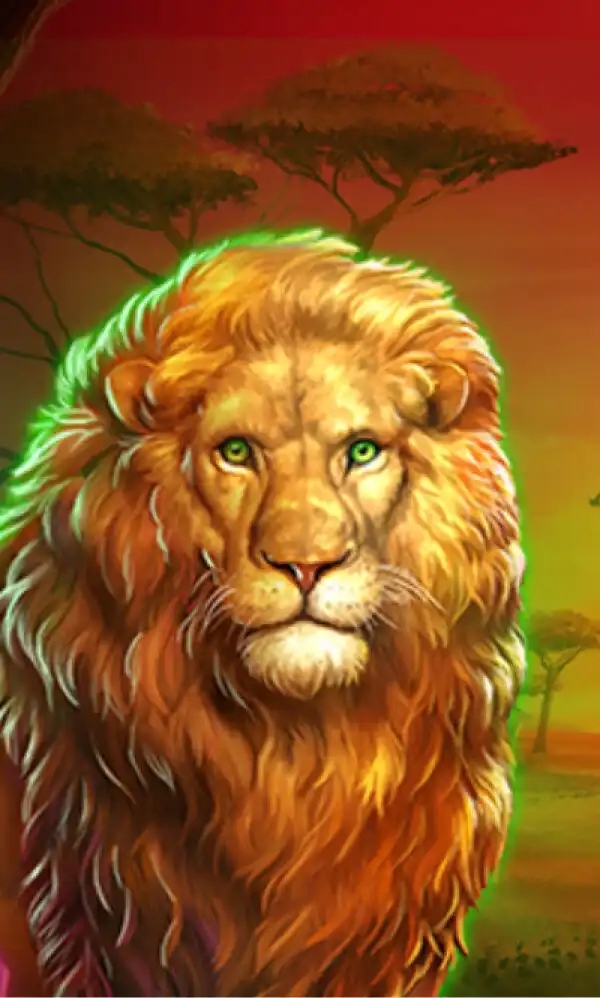 Big Cat Adventures Big Cat Adventures